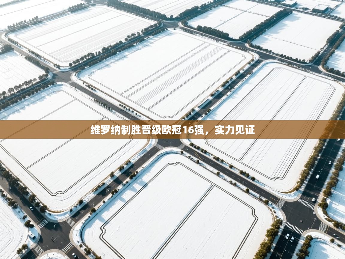 维罗纳制胜晋级欧冠16强,实力见证 第2张