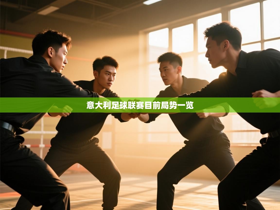 意大利足球联赛目前局势一览  第1张