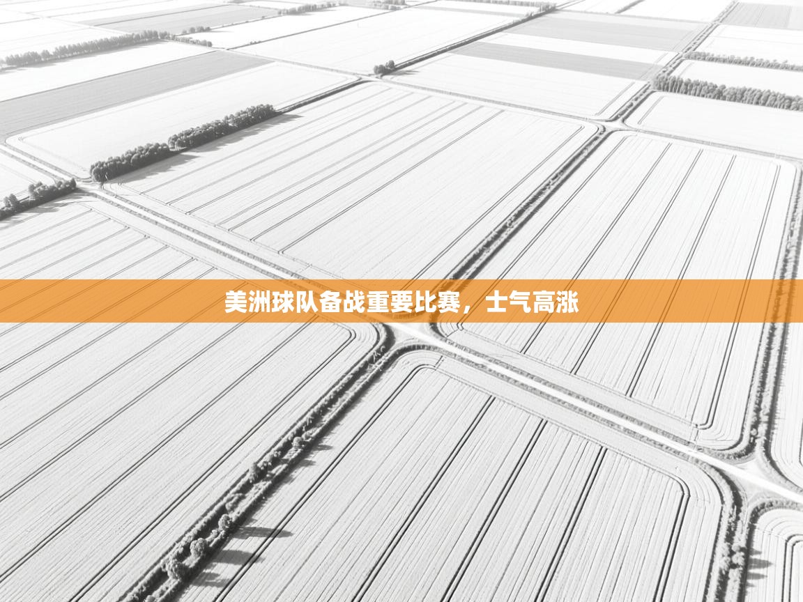 美洲球队备战重要比赛，士气高涨  第2张