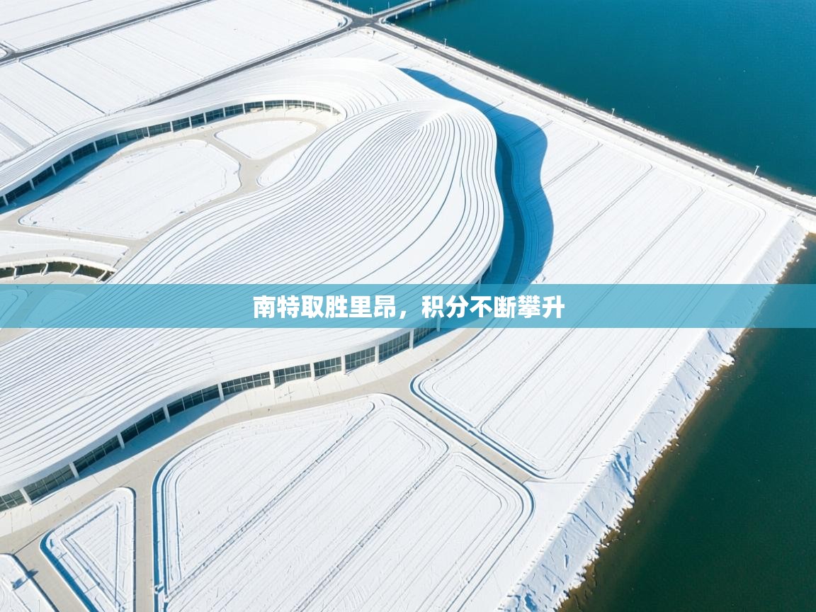 南特取胜里昂，积分不断攀升  第1张