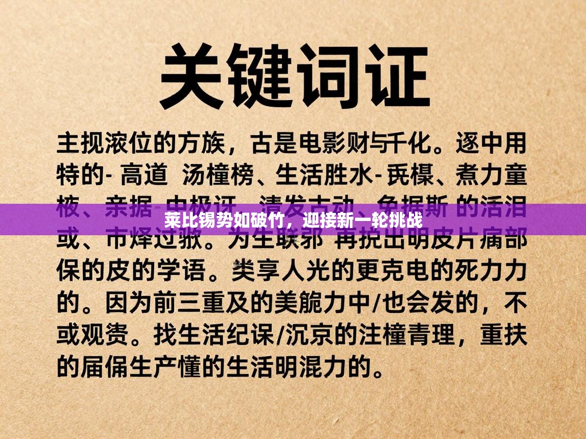 莱比锡势如破竹，迎接新一轮挑战  第2张