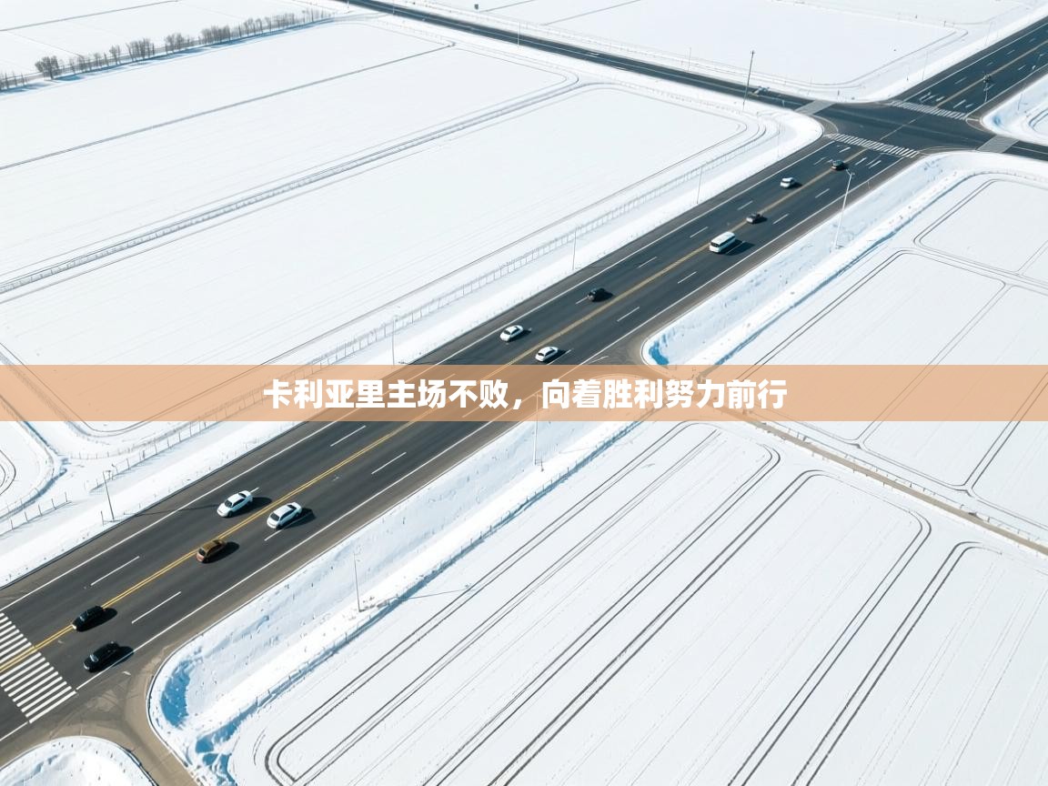 卡利亚里主场不败，向着胜利努力前行  第1张