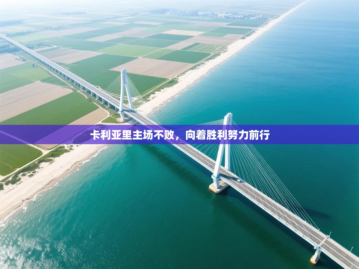 卡利亚里主场不败，向着胜利努力前行  第2张